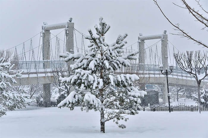 KARATAY BELEDİYESİ