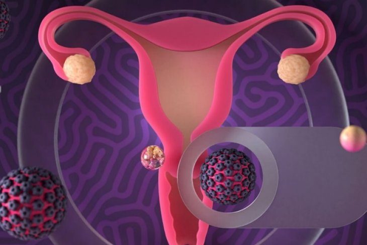 Acıbadem Üniversitesi’nde Yeni Bir Hpv Testi Geliştirildi