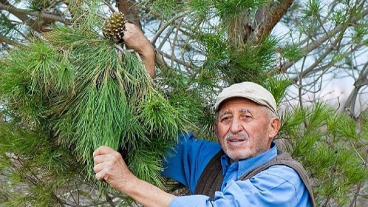Orman Dede Defnedildi