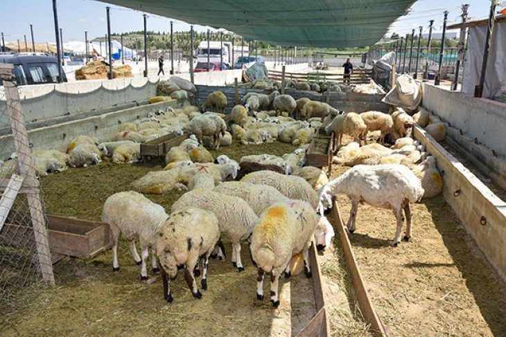 Selçuklu Belediyesi Bayram Öncesi Hazırlıklarını Tamamladı