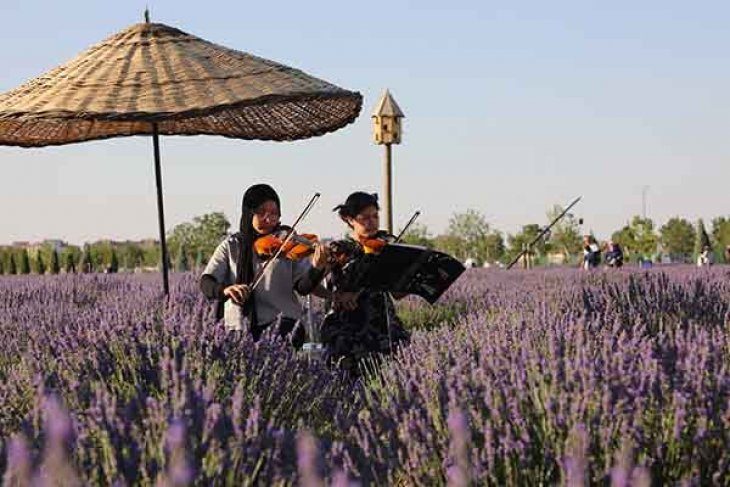 Karatay’ın Mor Güzelliği Rekorla Taçlandı