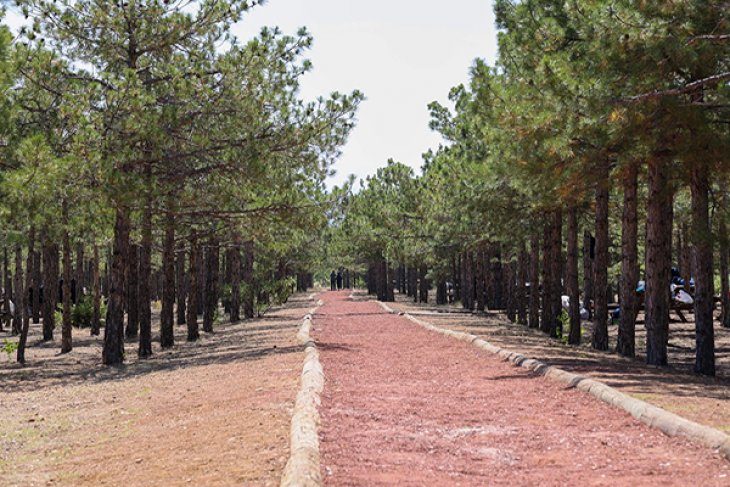 Dutlu Millet Bahçesi’nde Ateşli Piknik Yasaklandı