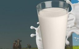 Günde En Az 2 Su Bardağı Süt Dişleri Güçlendiriyor!
