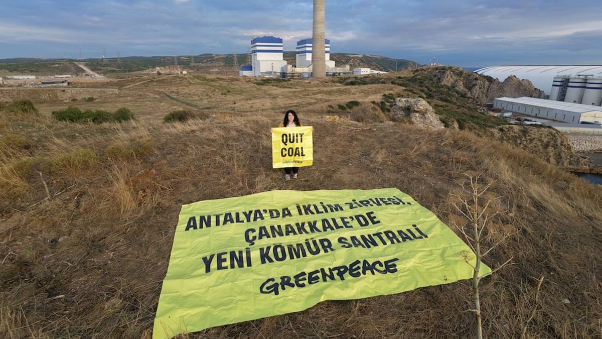 COP31’E SON İKİ HAFTA: GREENPEACE ÇANAKKALE’DE KÖMÜRDEN ÇIKIŞ ÇAĞRISI YAPTI
